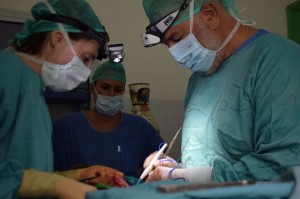 2017-10-10-PHOTO-00000369