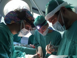 2017-10-10-PHOTO-00000380