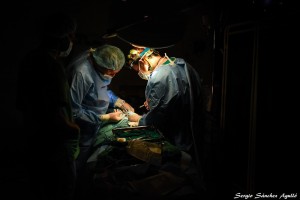 thumbnail_TZN_0941[5]