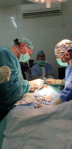 cd428a66-d19d-4616-8611-adbdd4e28c26