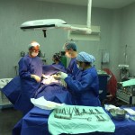 Perú_Septiembre_2016_1