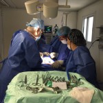 Perú_Septiembre_2016_16