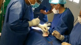 Perú_Septiembre_2016_20