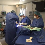 Perú_Septiembre_2016_8