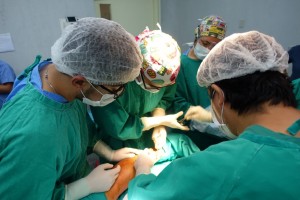 2017-05-25-PHOTO-00000054