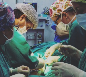 2017-05-25-PHOTO-00000060