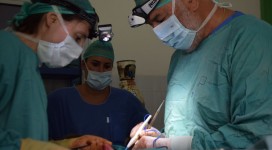 2017-10-10-PHOTO-00000369