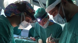 2017-10-10-PHOTO-00000380