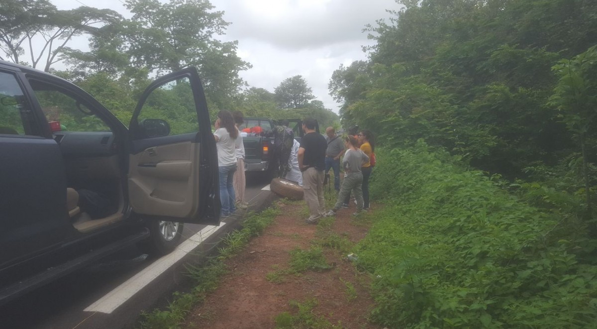 2017-10-10-PHOTO-00000382