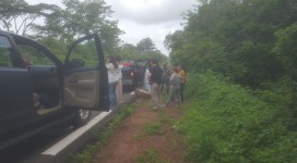 2017-10-10-PHOTO-00000382