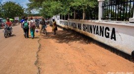 thumbnail_TZN_0706[3]