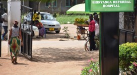 thumbnail_TZN_0719[2]