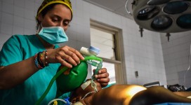 thumbnail_TZN_1085[1]