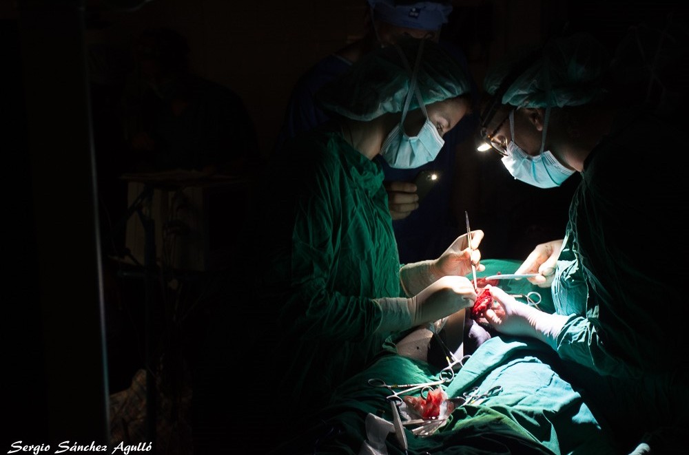 thumbnail_TZN_2059[2]