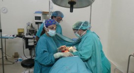 PHOTO-2019-01-11-20-27-09_13