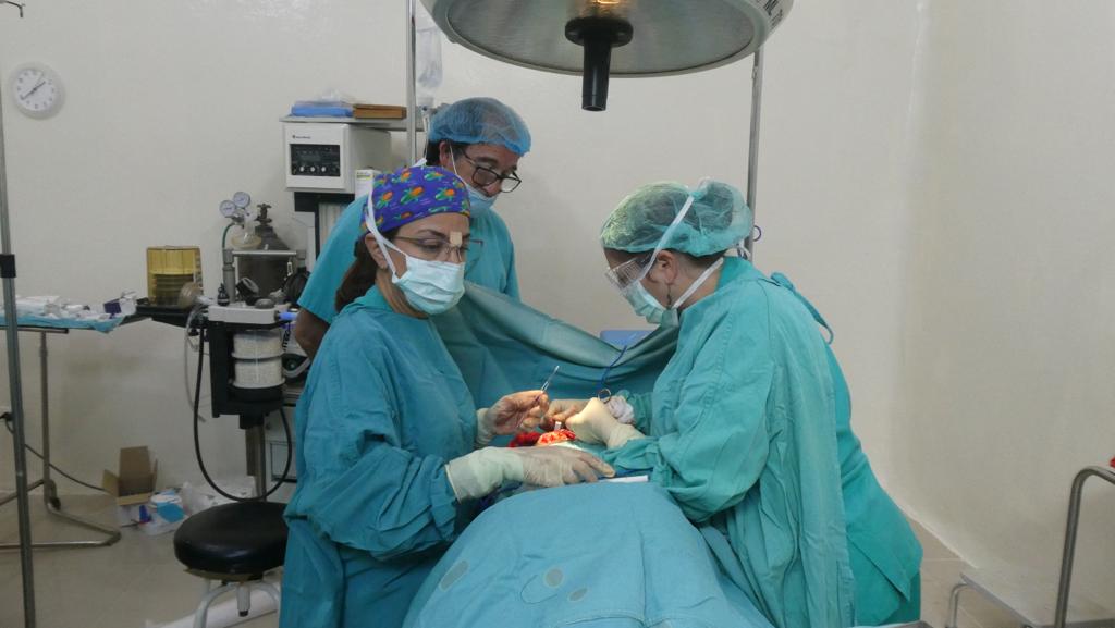 PHOTO-2019-01-11-20-27-09_13