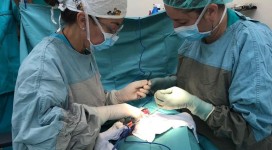 PHOTO-2019-01-11-20-27-09_2