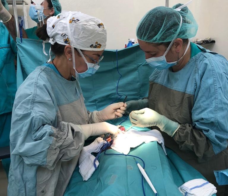 PHOTO-2019-01-11-20-27-09_2