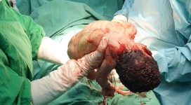 12c4591c-6e6d-444a-ba50-ad36045a7be1