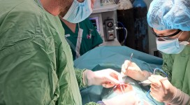 PHOTO-2023-12-01-16-35-20