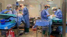 26f8d46b-0785-4314-b569-9065d316588c