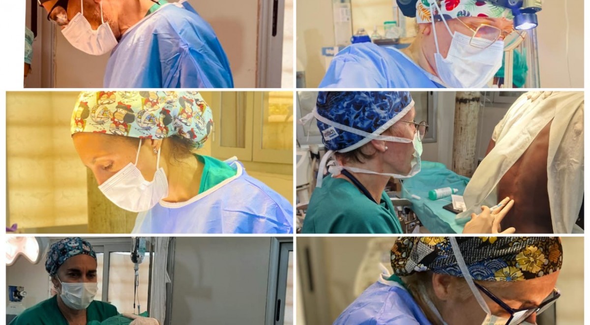 92899ec4-3f5f-4d96-9323-c44775252851