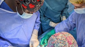 Gambia. Noviembre2024