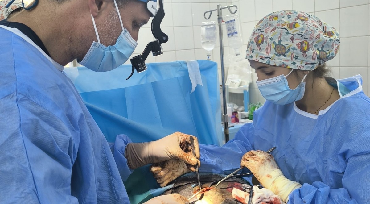 photo-2024-11-28-08-00-12