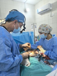 photo-2024-11-28-08-00-12