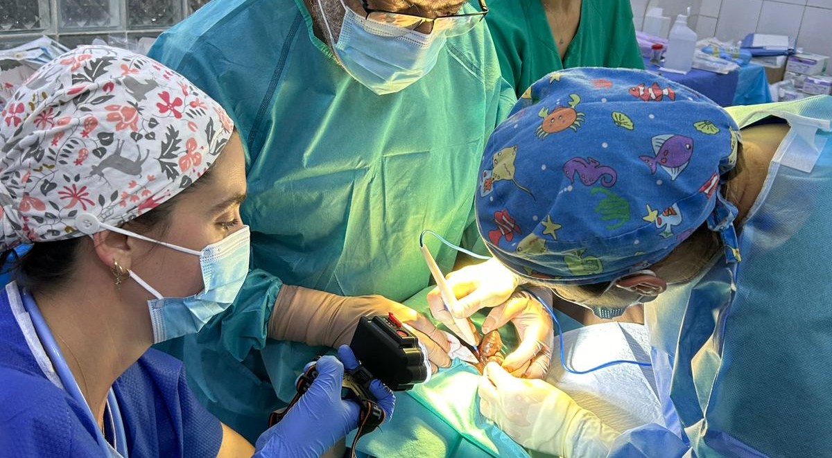 photo-2024-11-28-08-00-14