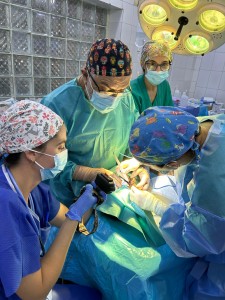 photo-2024-11-28-08-00-14