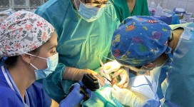 photo-2024-11-28-08-00-14