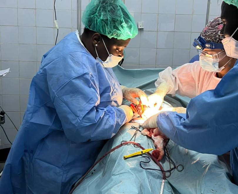 whatsapp-image-2025-09-10-at-08-06-31